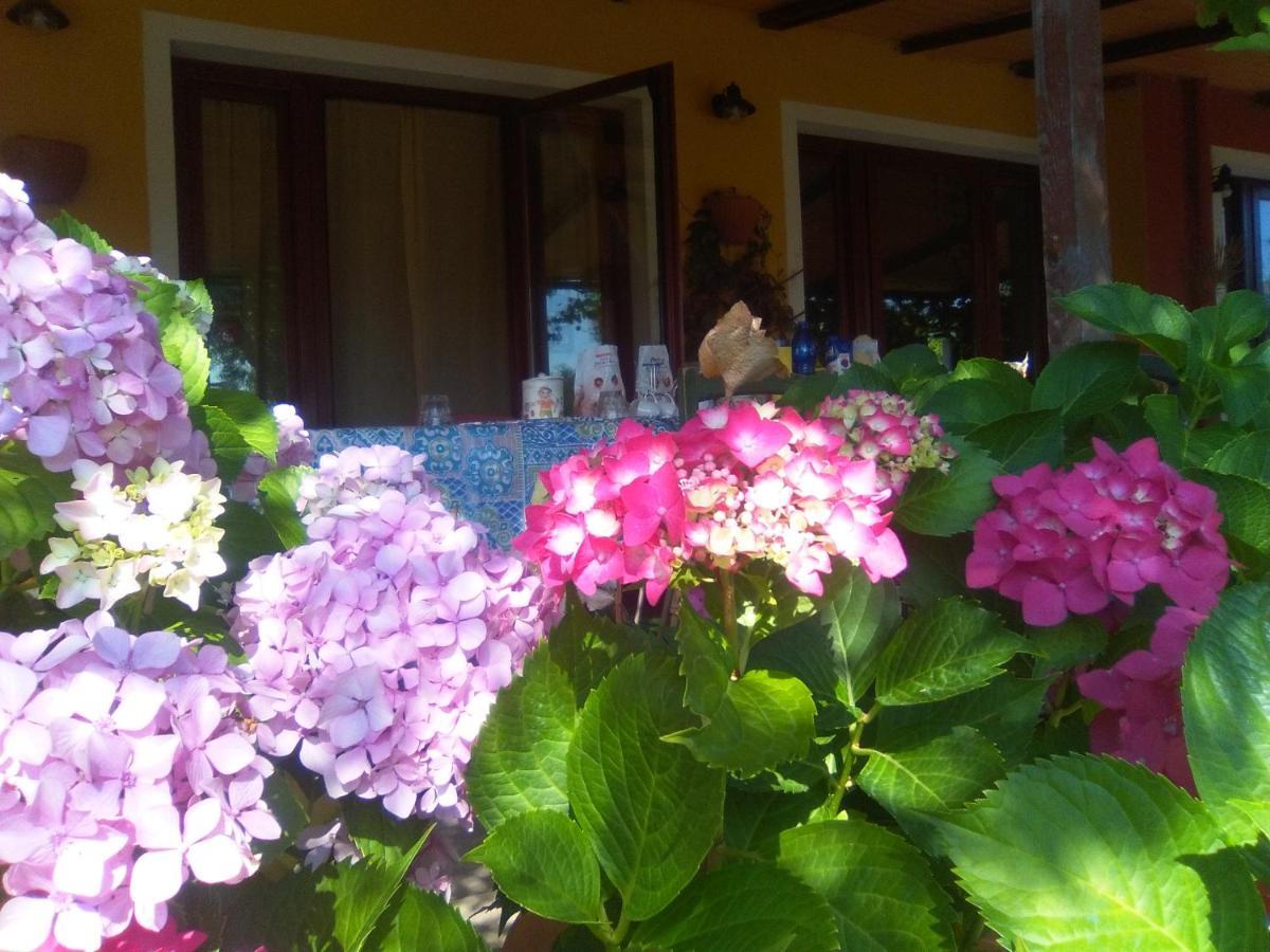 B&B Casa Per Ferie Villaggiocarovana Castiadas Εξωτερικό φωτογραφία