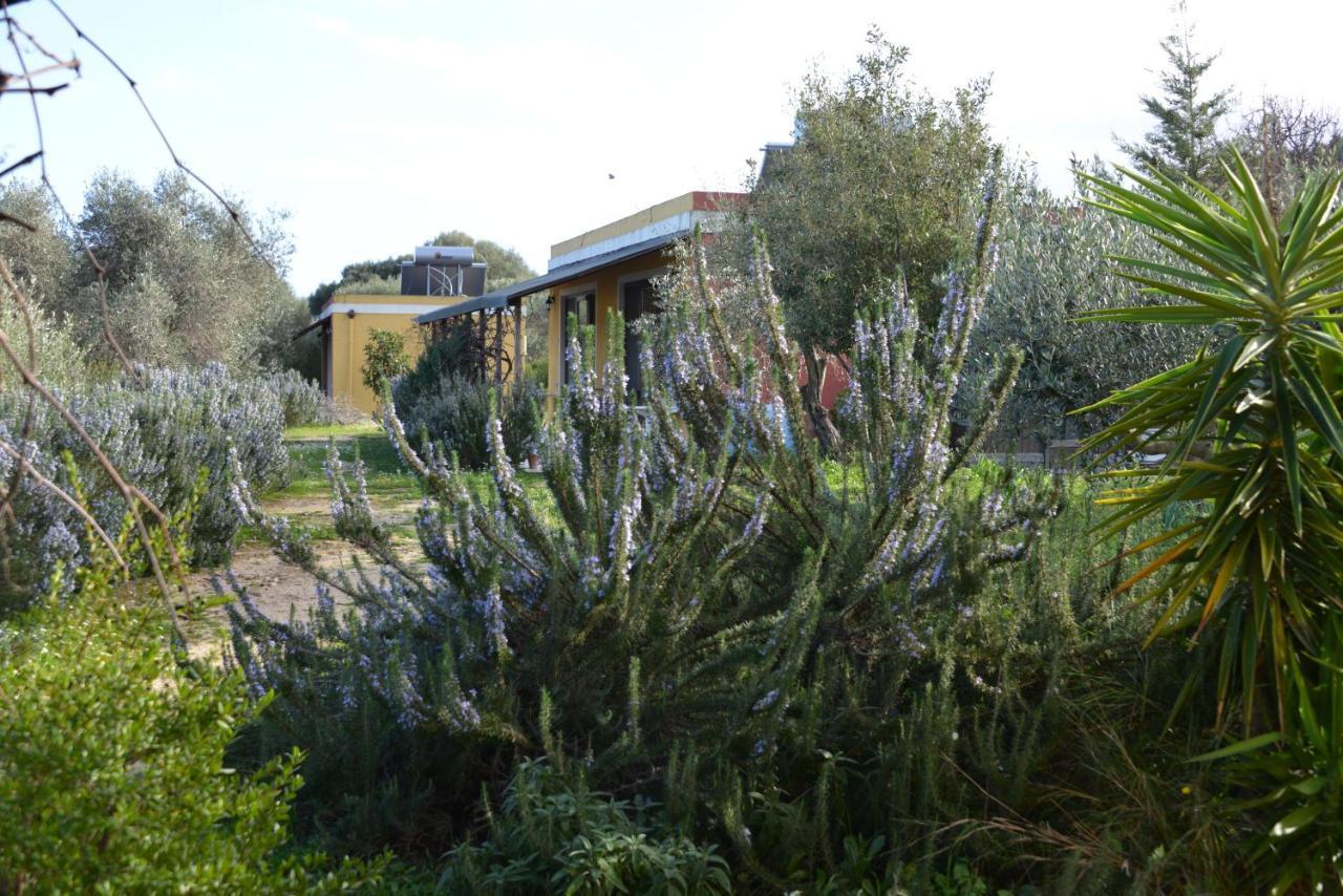B&B Casa Per Ferie Villaggiocarovana Castiadas Εξωτερικό φωτογραφία