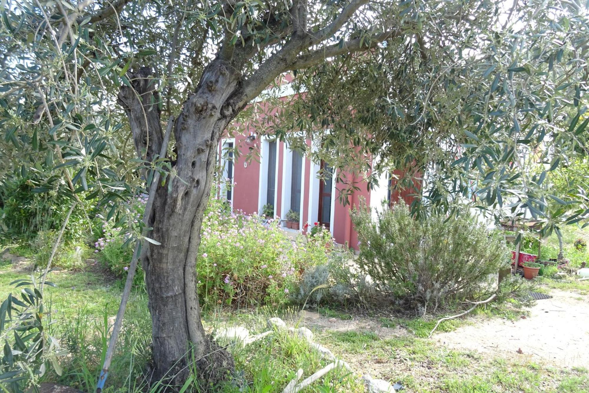 B&B Casa Per Ferie Villaggiocarovana Castiadas Εξωτερικό φωτογραφία