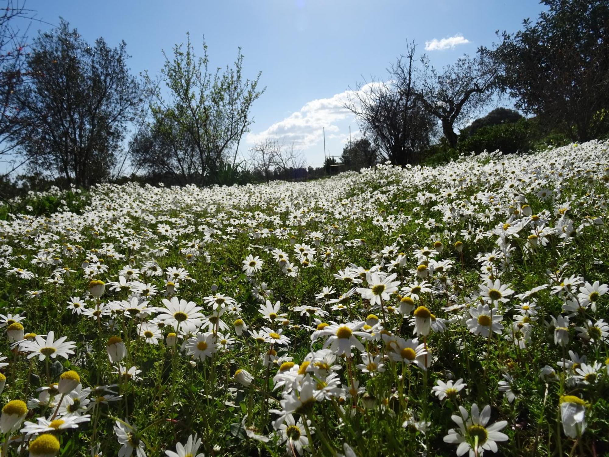 B&B Casa Per Ferie Villaggiocarovana Castiadas Εξωτερικό φωτογραφία