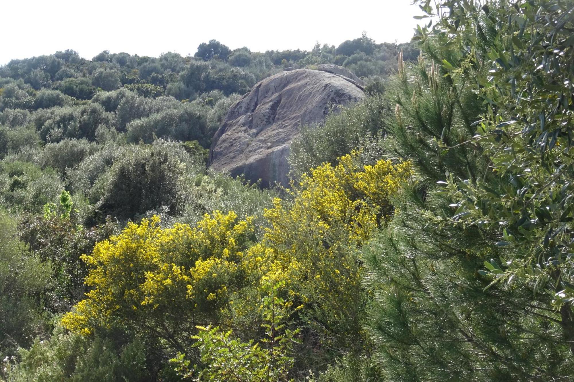 B&B Casa Per Ferie Villaggiocarovana Castiadas Εξωτερικό φωτογραφία